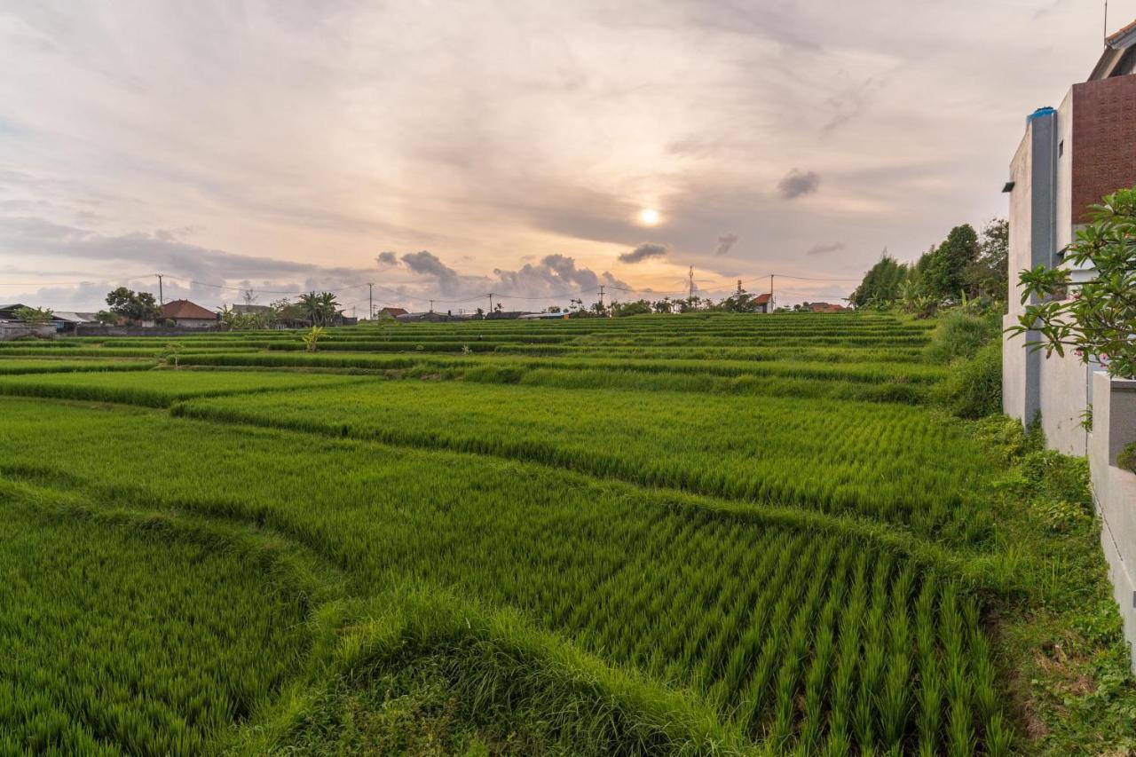 D'Macho Villas Ubud Exteriör bild